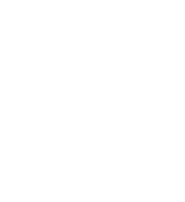 Logo Voodoogroup